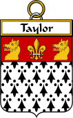 Irish Badge for Taylor