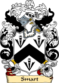 English or Welsh Family Coat of Arms (v.23) for Smart