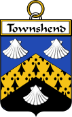 Irish Badge for Townshend or Townsend