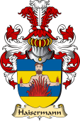 v.23 Coat of Family Arms from Germany for Haisermann