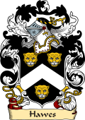 English or Welsh Family Coat of Arms (v.23) for Hawes