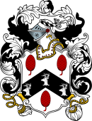English or Welsh Coat of Arms for Wilkie (Blackheath, Kent)