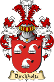 v.23 Coat of Family Arms from Germany for Birckholtz