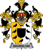 Irish Family Coat of Arms (v.25b) Brownlow