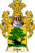 French Family Coat of Arms (v.23) for Colas
