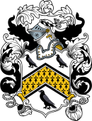English or Welsh Coat of Arms for Rice