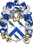 English or Welsh Coat of Arms for Jay