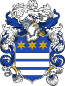 English or Welsh Coat of Arms for Pitt