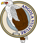 Birds of Prey Clipart image: Angola or Palm-Nut Vulture-M