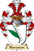 v.23 Coat of Family Arms from Germany for Blumstein