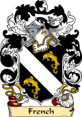 English or Welsh Family Coat of Arms (v.23) for French