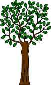 Tree (Tall)