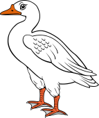 Goose Close