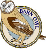 Birds of Prey Clipart image: Barn Owl (Yellow)-M