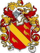 English or Welsh Coat of Arms for Slaney (London and Staffordshire- 1595)