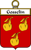 French Coat of Arms Badge for Gosselin