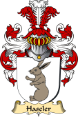 v.23 Coat of Family Arms from Germany for Haseler