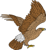 Birds of Prey Clipart image: Imperial Eagle Rising