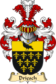 v.23 Coat of Family Arms from Germany for Driesch