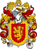English or Welsh Coat of Arms for Rhys (Rees)
