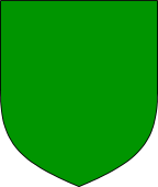 Shield 9