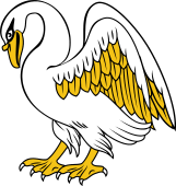 Swan Wings Endorsed Pecking its Breast