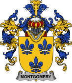 Irish Family Coat of Arms (v.25b) Montgomery