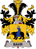 Swedish Coat of Arms for Båhr