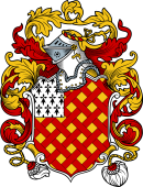 English or Welsh Coat of Arms for Noel