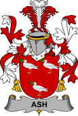 Irish Coat of Arms for Ash