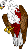 Pondicherry Eagle