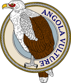 Angola or Palm-Nut Vulture-M