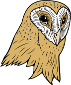 Birds of Prey Clipart image: Barn Owl Head