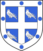 Irish Family Shield for Olde