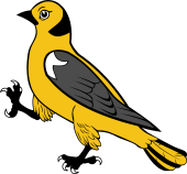 Gold Finch