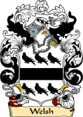 English or Welsh Family Coat of Arms (v.23) for Welsh