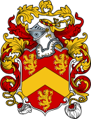 English or Welsh Coat of Arms for Owen