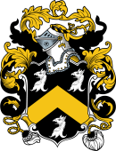 English or Welsh Coat of Arms for Skinner