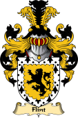 Welsh Family Coat of Arms (v.23) for Flint (lord of)