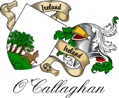 Sept (Clan) Coat of Arms from Ireland for O'Callaghan
