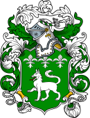 English or Welsh Coat of Arms for Wolfe