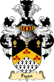 Irish Family Coat of Arms (v.23) for Fyan