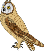 Birds of Prey Clipart image: Short-Eared Owl
