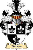 Irish Family Coat of Arms (v.23) for Nelson or Nealson