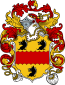 English or Welsh Coat of Arms for Jenkinson