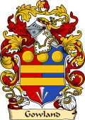 English or Welsh Family Coat of Arms (v.23) for Gowland (Durham)