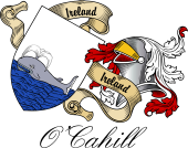 Sept (Clan) Coat of Arms from Ireland for O'Cahill