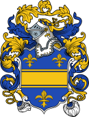 English or Welsh Coat of Arms for Skelton