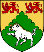 Irish Family Shield for MacDonogh (Sligo)