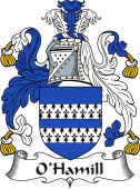 Irish Coat of Arms for O'Hamill